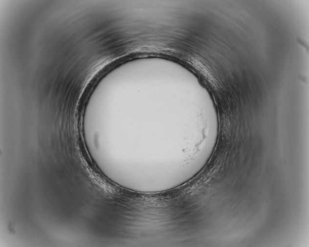 X0000095900976200802081136