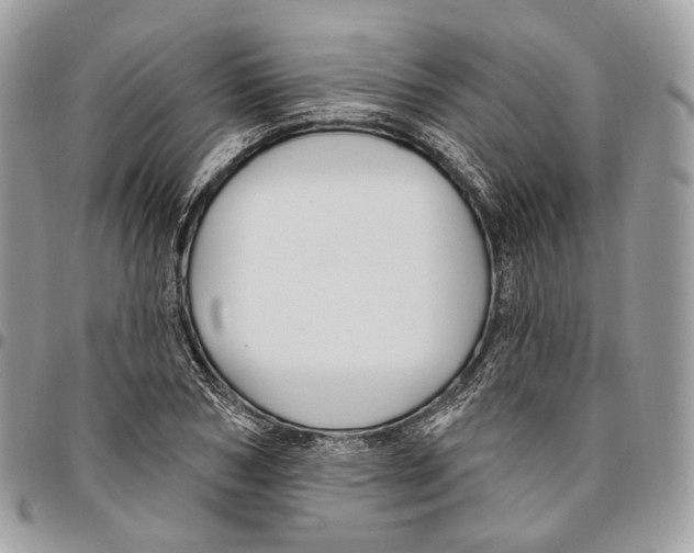 X0000095900978200802081136