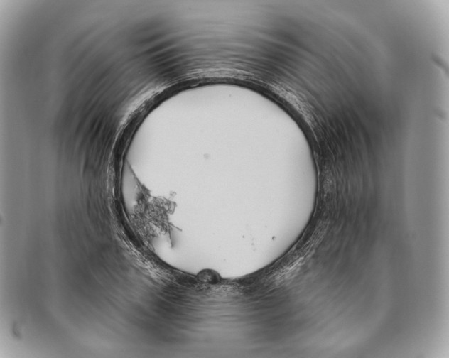 X0000095900979200802081136