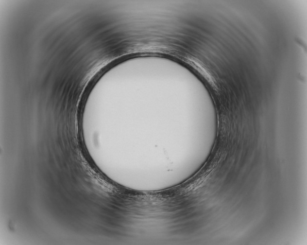 X0000095900980200802081136