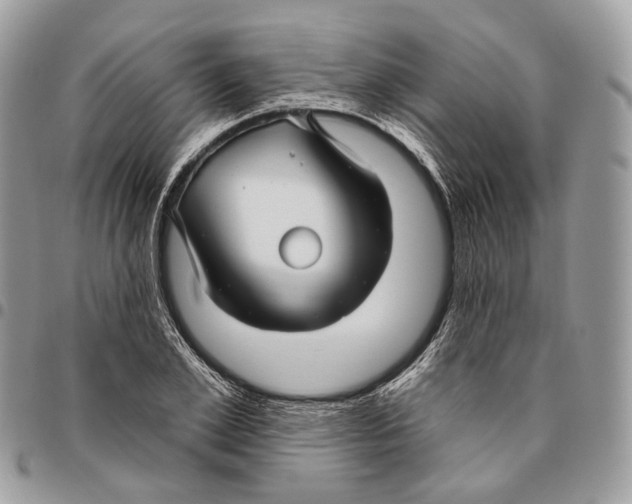 X0000095900981200802081136