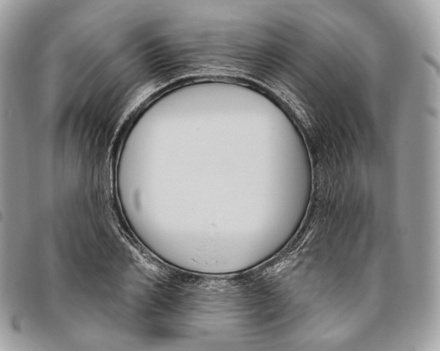 X0000095900982200802081136