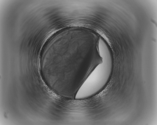 X0000095900984200802081136