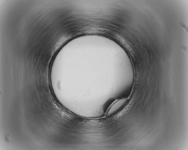 X0000095900986200802081136