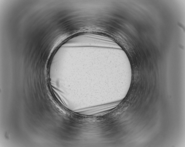 X0000095900990200802081136