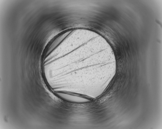 X0000095900991200802081136