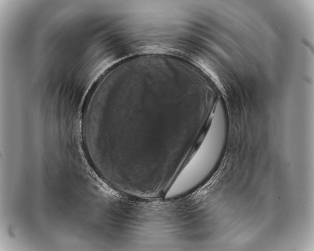 X0000095900992200802081136