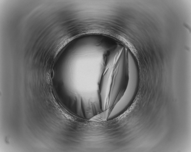 X0000095900993200802081136