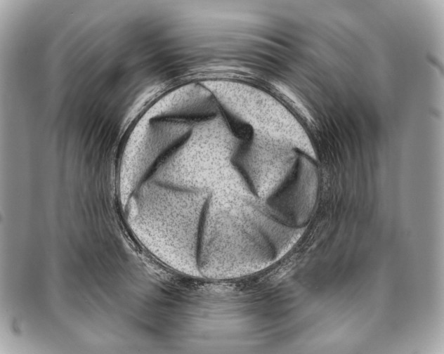 X0000095900994200802081136