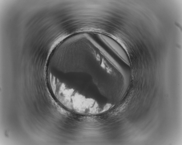 X0000095900995200802081136