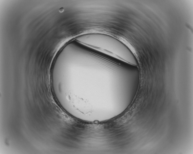 X0000095900996200802081136