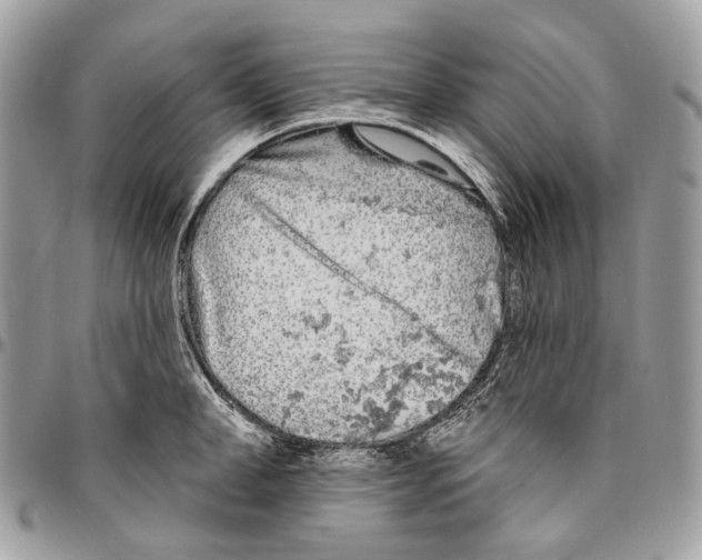 X0000095900998200802081136