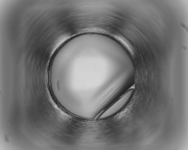 X0000095900999200802081136