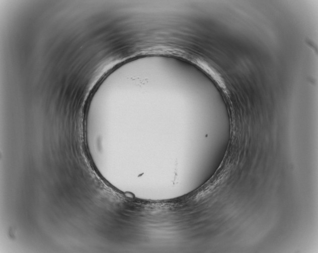 X0000095901000200802081136