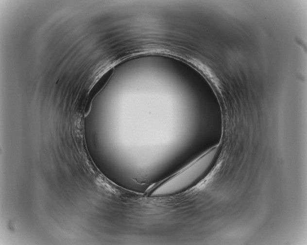 X0000095901001200802081136