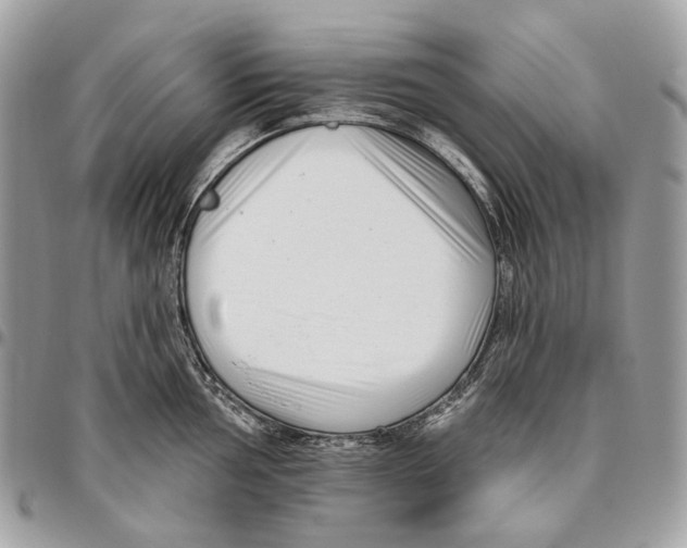 X0000095901002200802081136