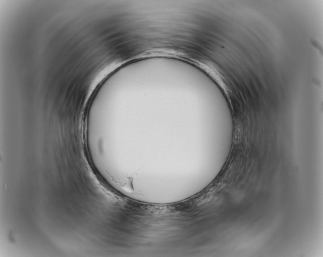 X0000095901003200802081136