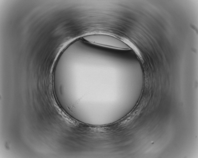 X0000095901004200802081136