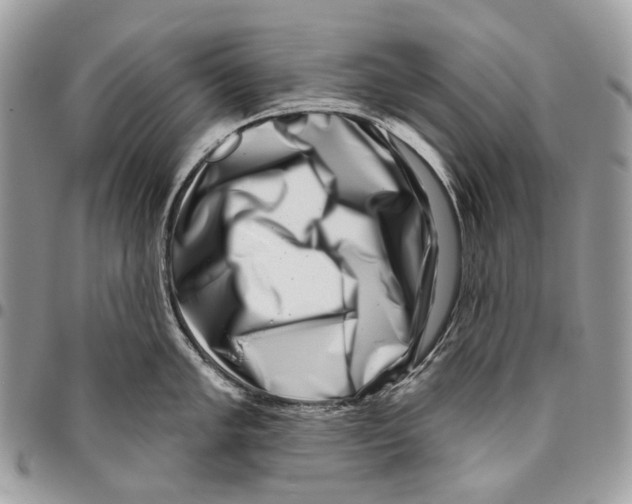 X0000095901005200802081136