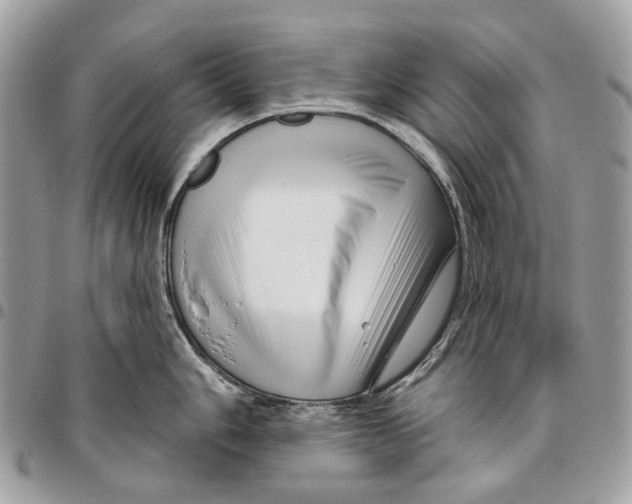 X0000095901006200802081136