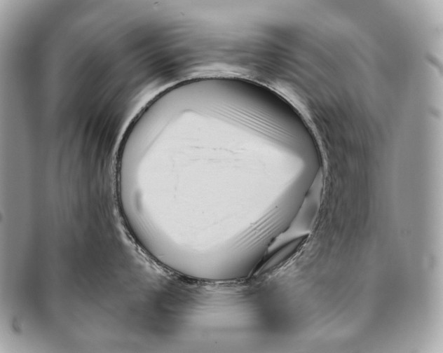 X0000095901008200802081136