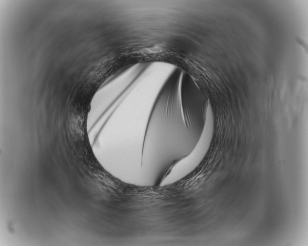 X0000095901010200802081135