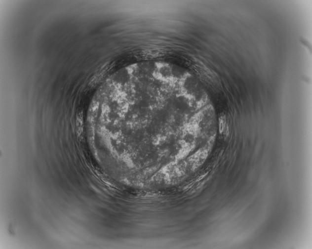 X0000095901011200802081135