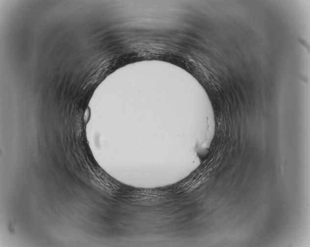 X0000095901012200802081135