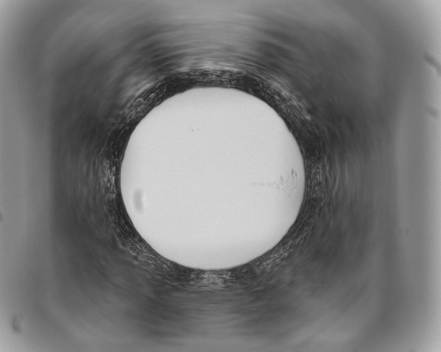 X0000095901013200802081135