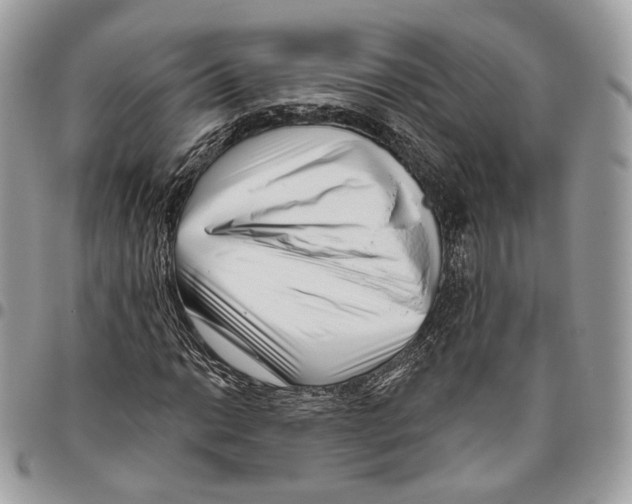 X0000095901014200802081135