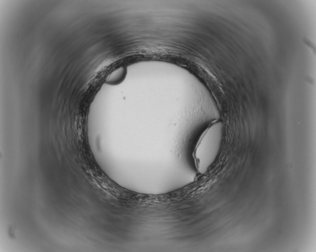 X0000095901016200802081135