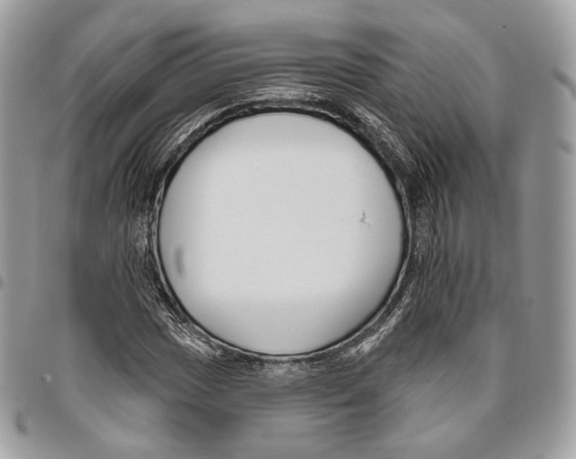 X0000095901017200802081135