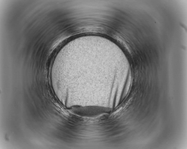 X0000095901019200802081135