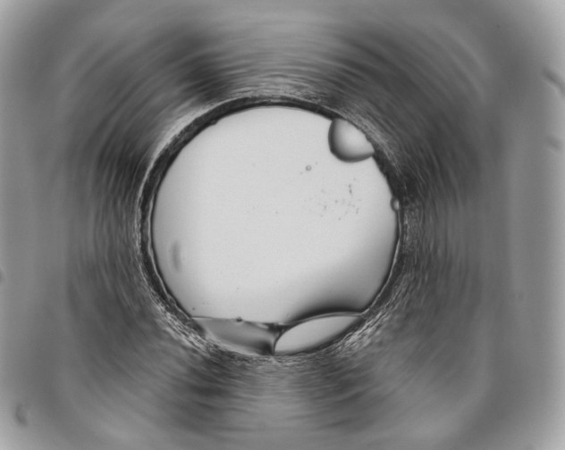 X0000095901020200802081135