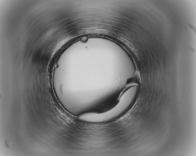 X0000095901022200802081135