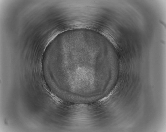 X0000095901023200802081135