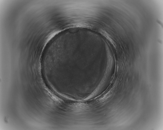 X0000095901024200802081135