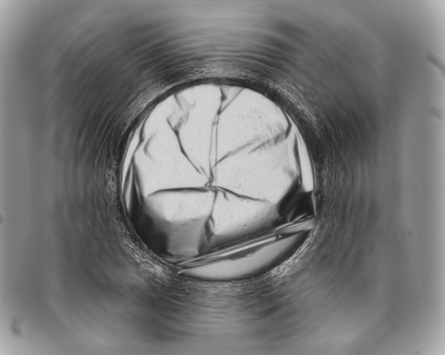 X0000095901025200802081135