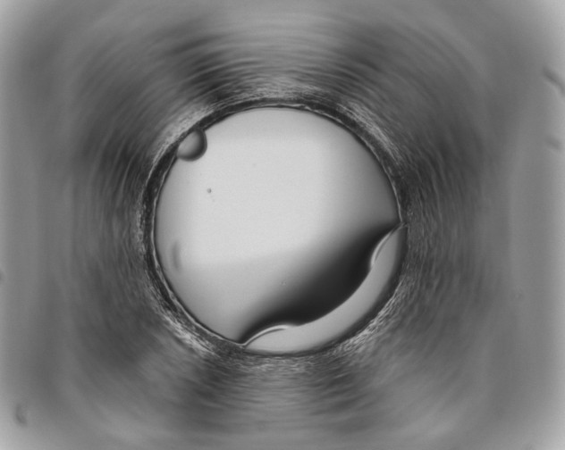 X0000095901026200802081135