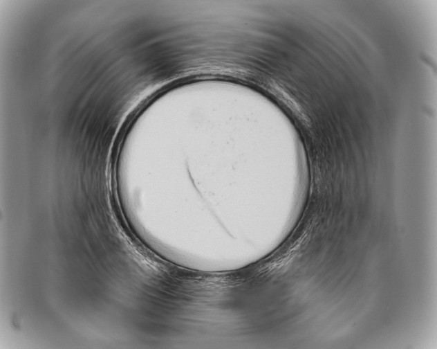 X0000095901028200802081135