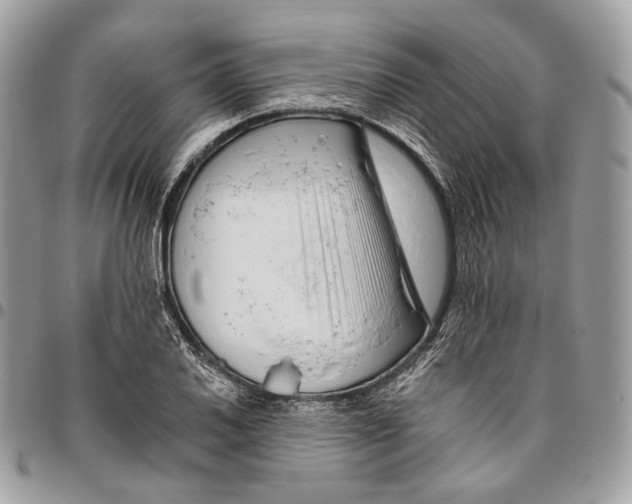 X0000095901030200802081135