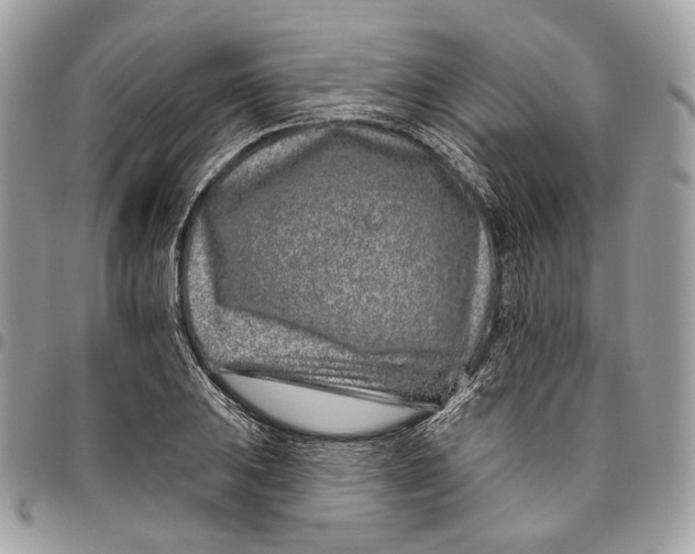 X0000095901031200802081135