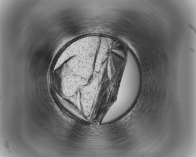 X0000095901032200802081135