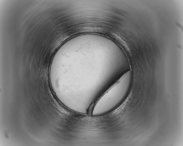 X0000095901033200802081135