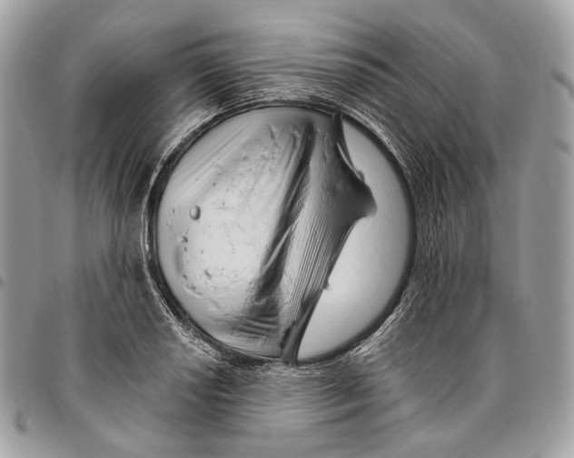 X0000095901034200802081135