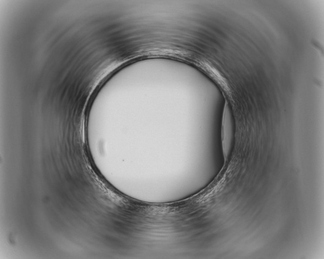 X0000095901036200802081135