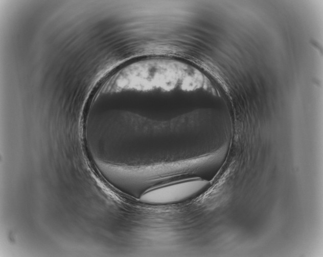 X0000095901037200802081135