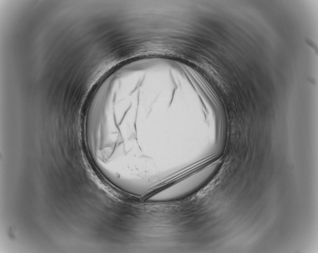 X0000095901038200802081135