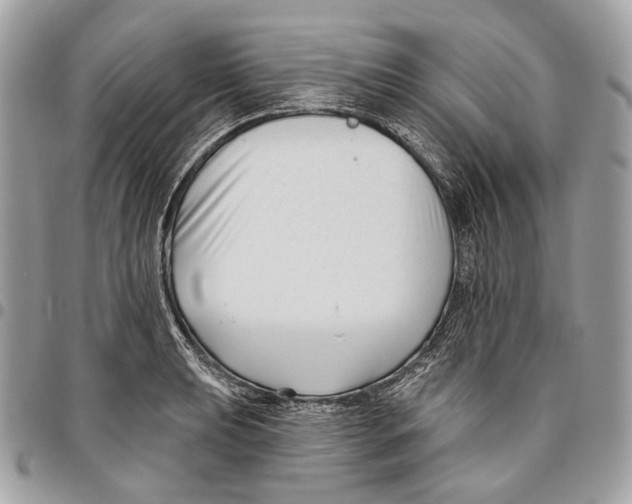 X0000095901039200802081135