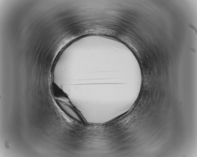 X0000095901040200802081135